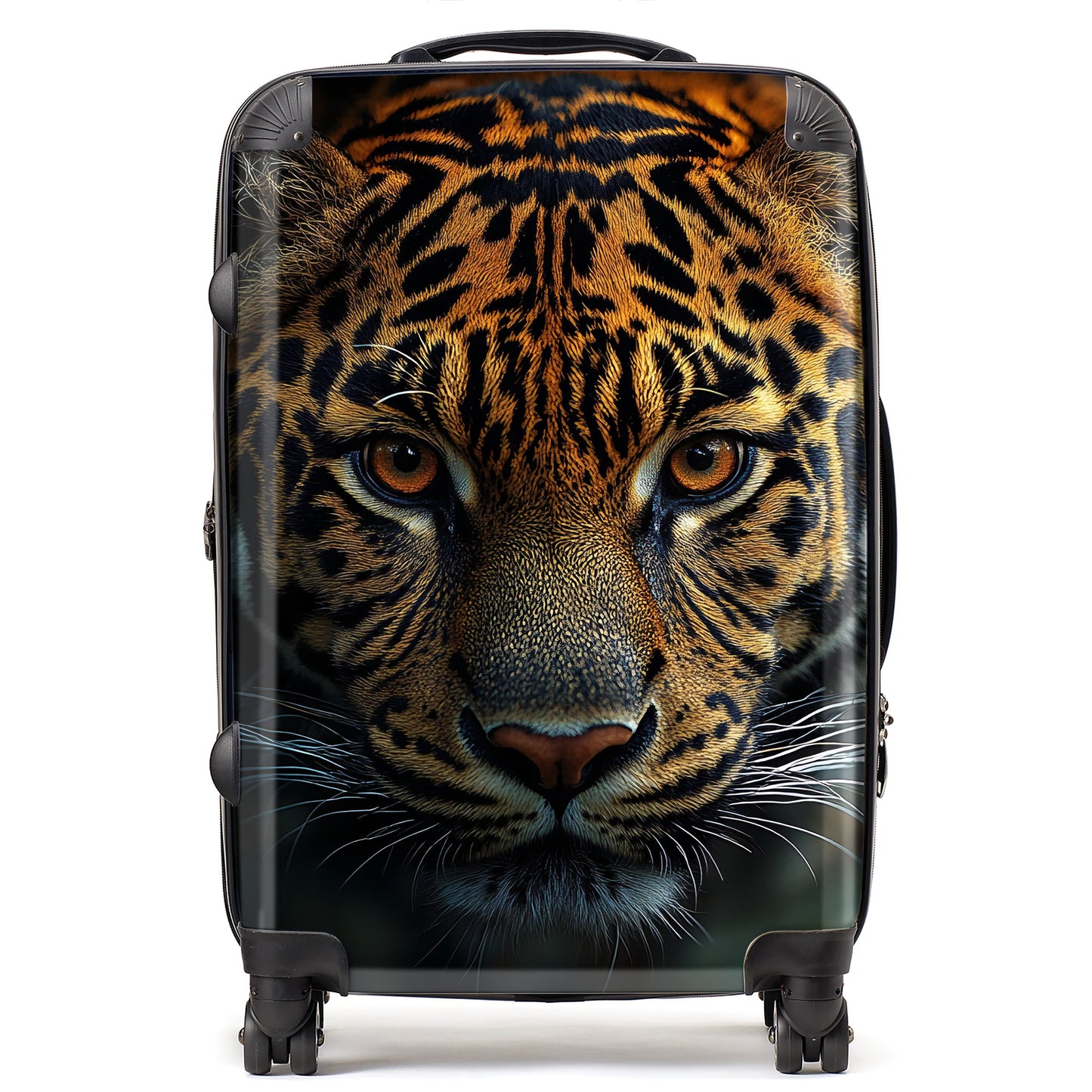 Finn Wilder: 00006 Suitcase