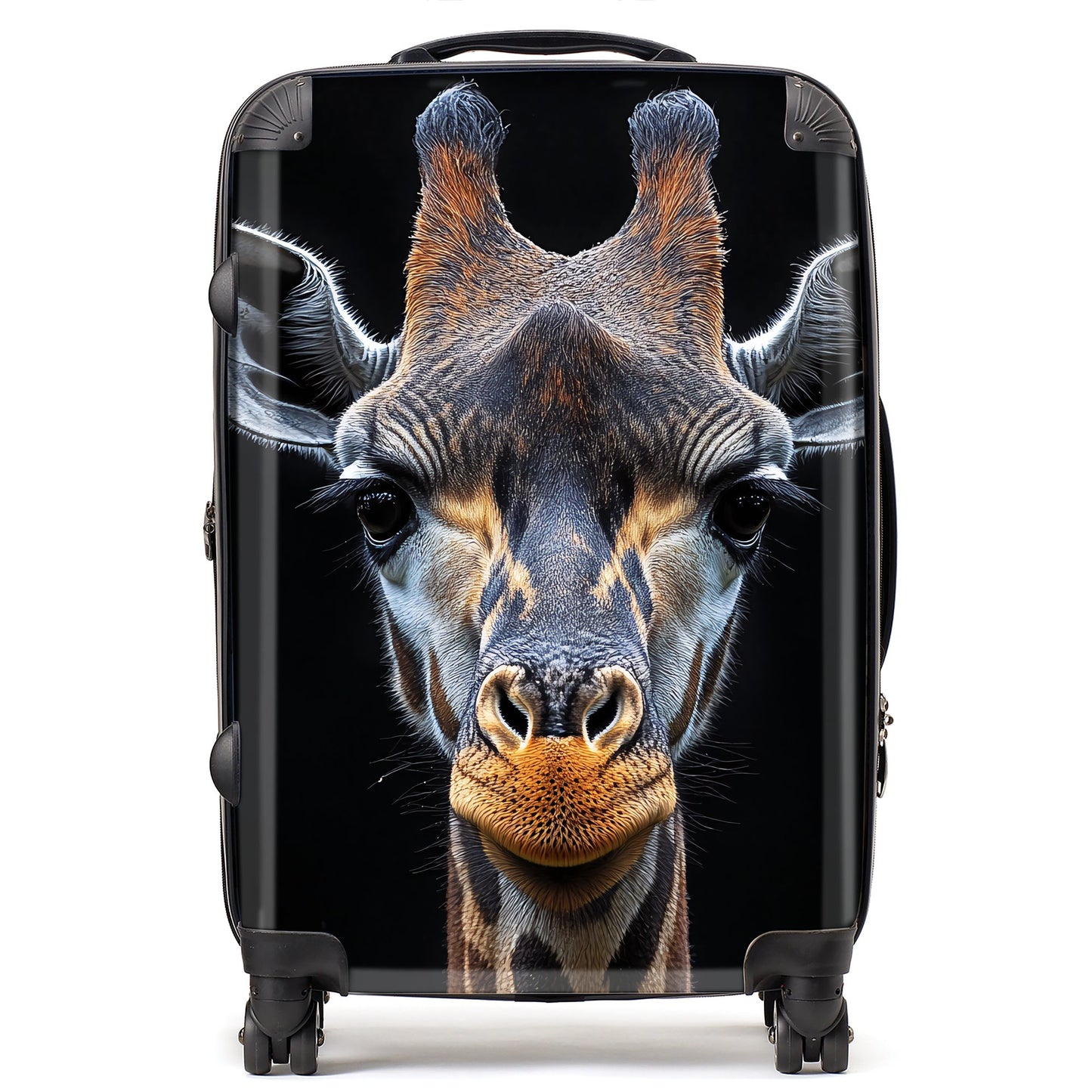 Finn Wilder: 00011 Suitcase