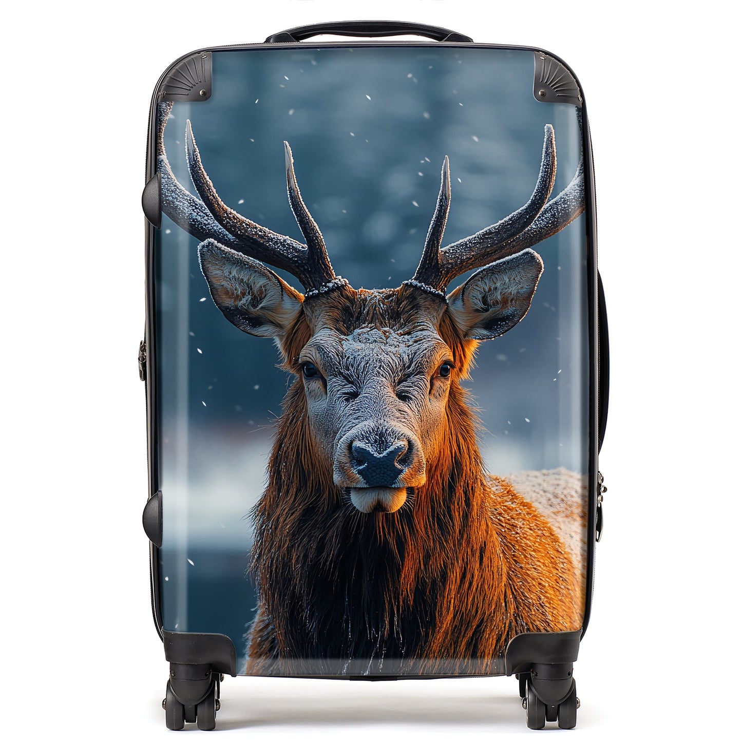 Finn Wilder: 00013 Suitcase