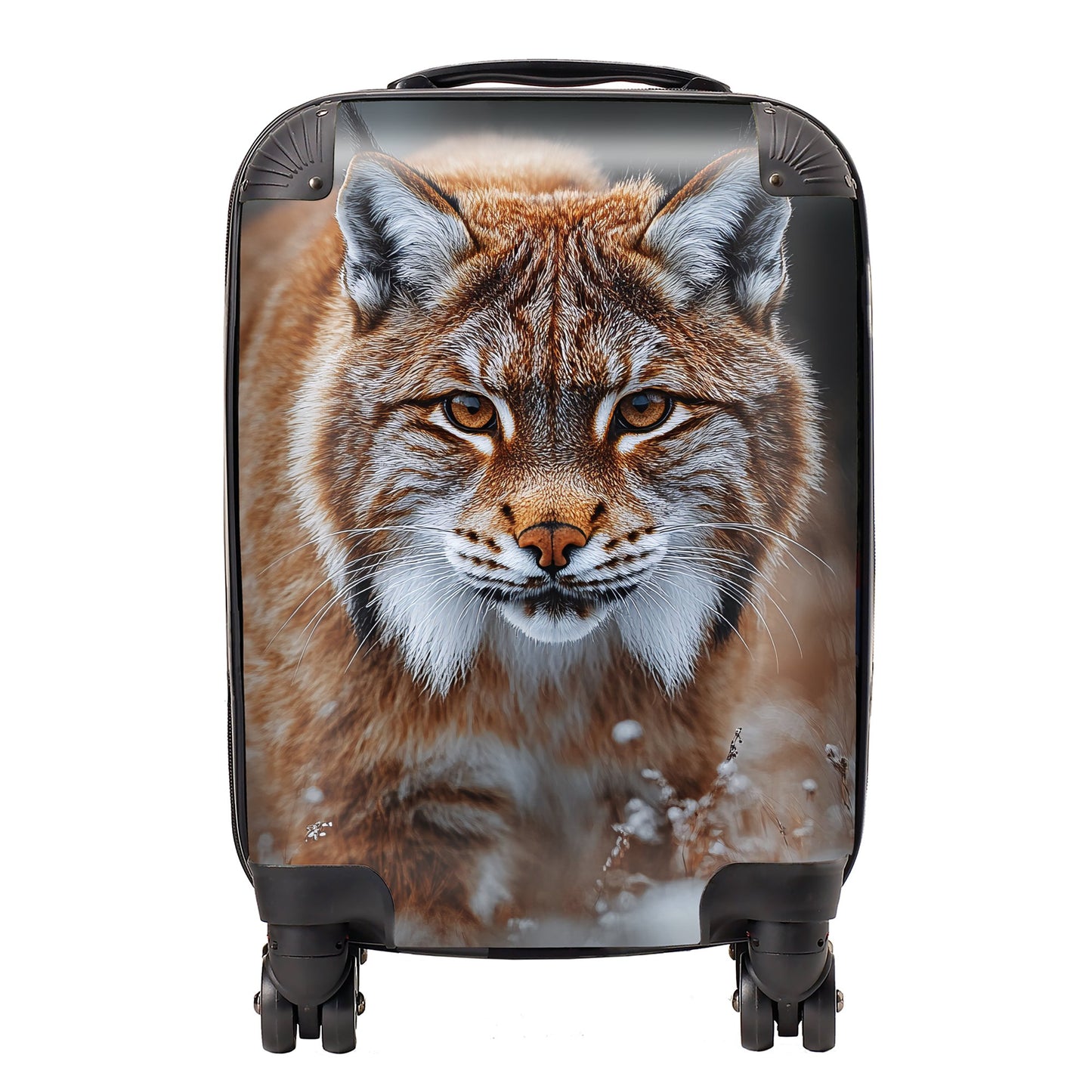 Finn Wilder: 00020 Suitcase