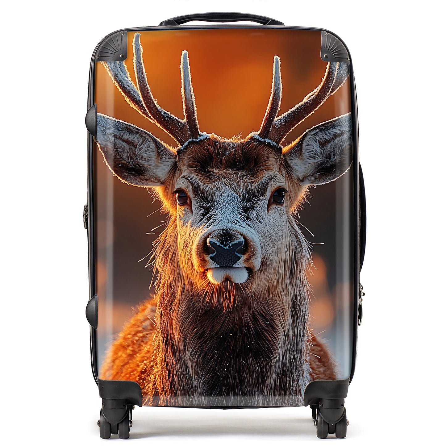 Finn Wilder: 00026 Suitcase