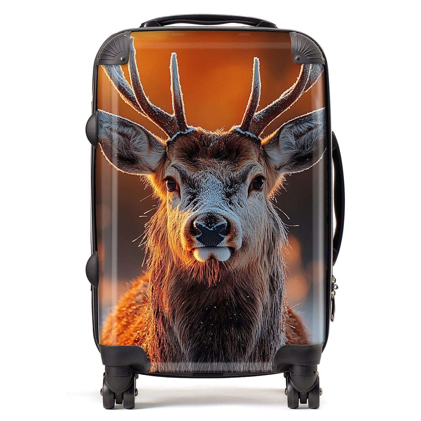 Finn Wilder: 00026 Suitcase
