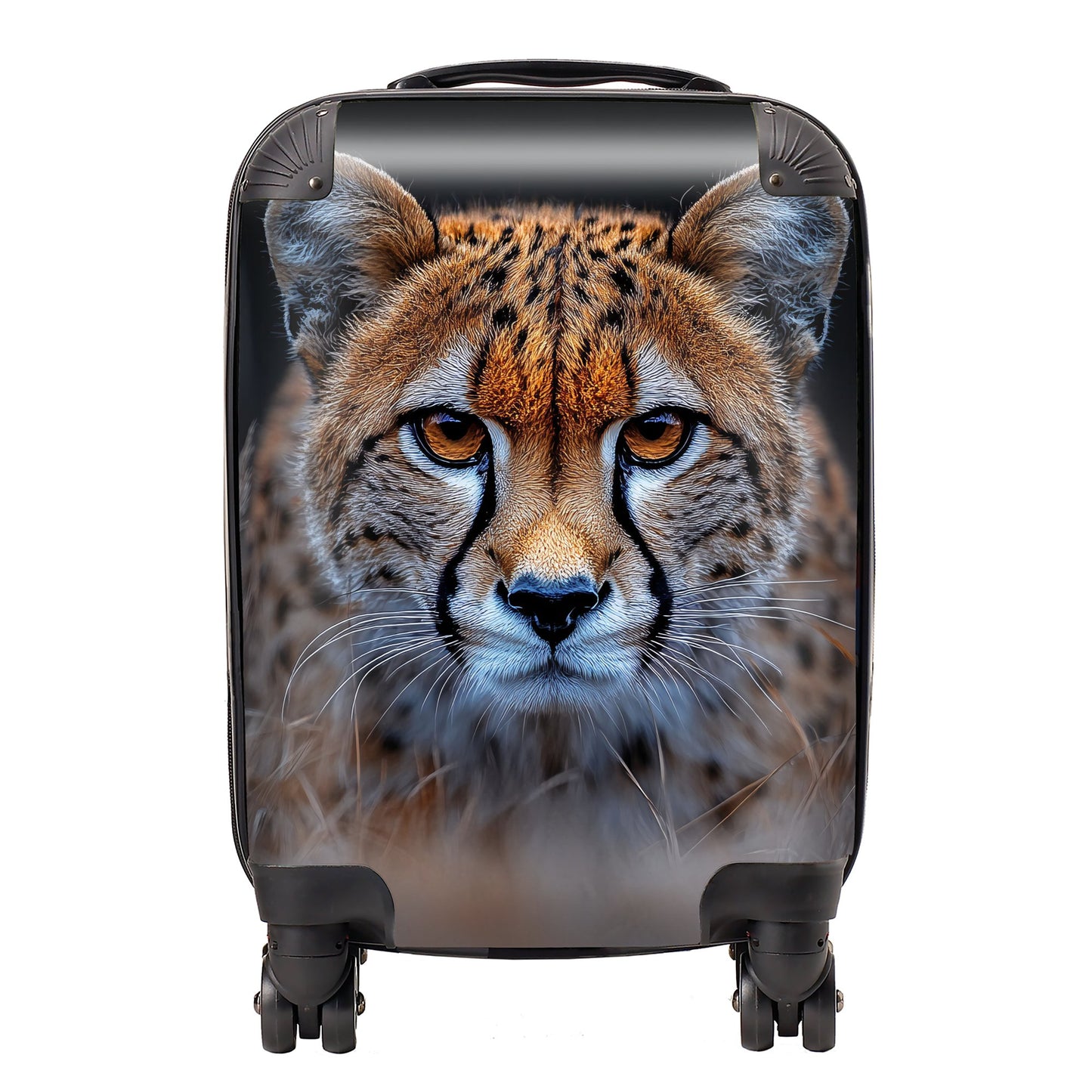 Finn Wilder: 00033 Suitcase