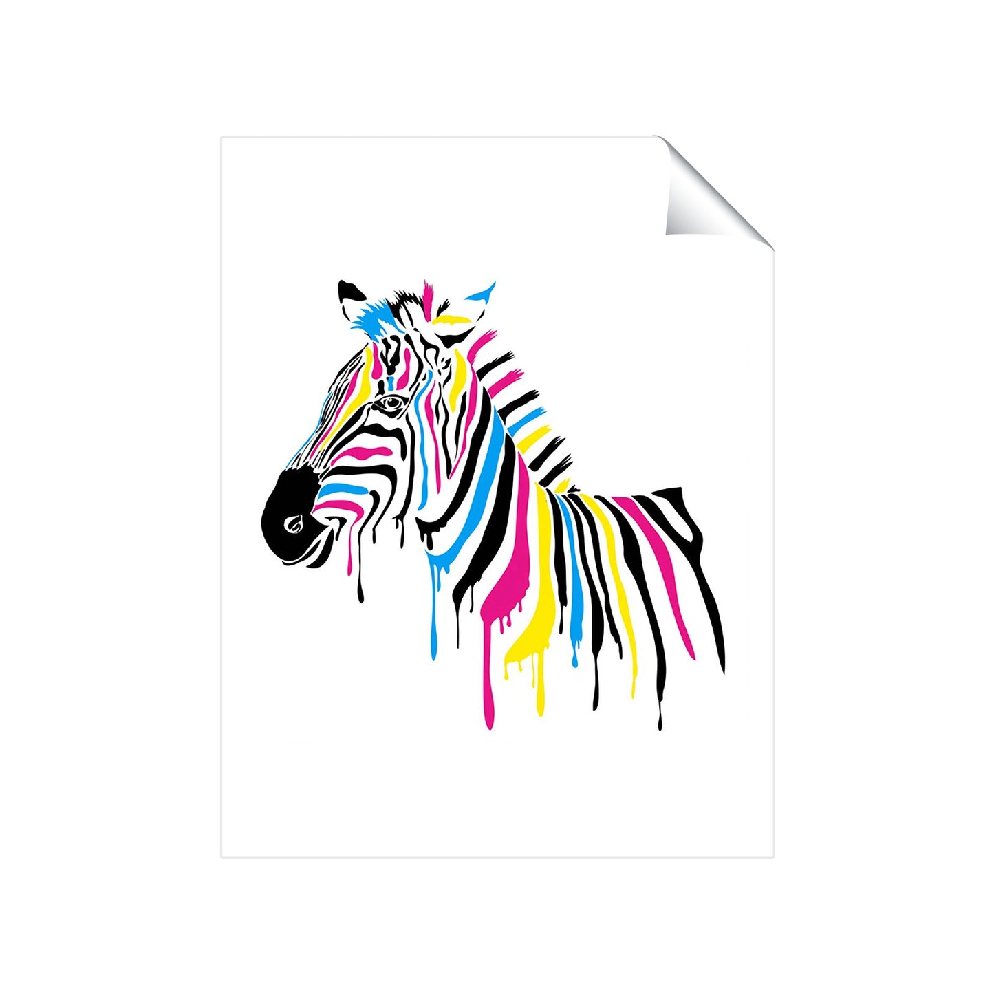 Multi Coloured Zebra Art Prints