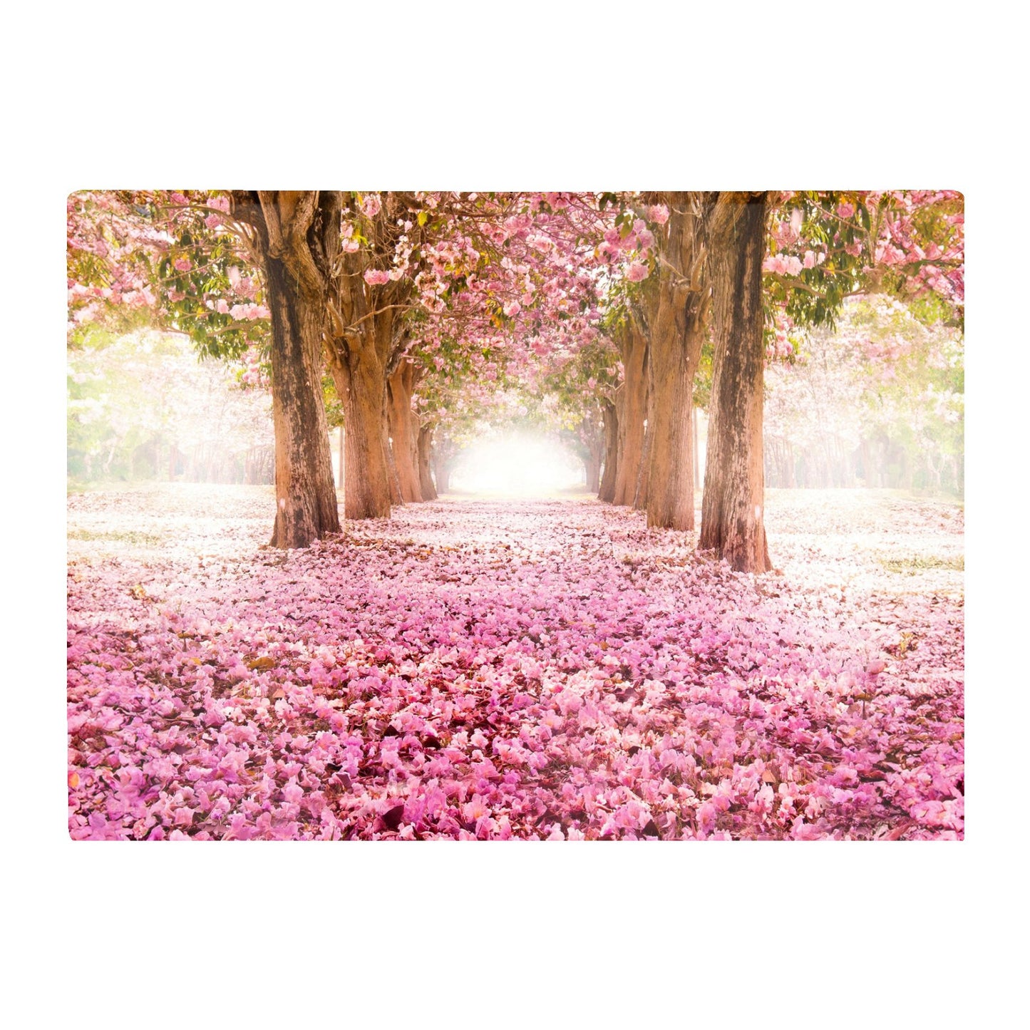 Pink Flower Tree Tunnel Glass Chopping Board