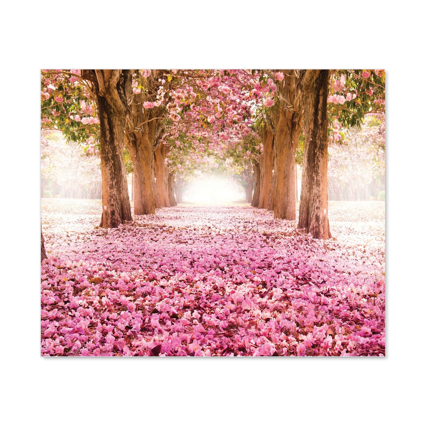 Pink Flower Tree Tunnel Kitchen Splashback
