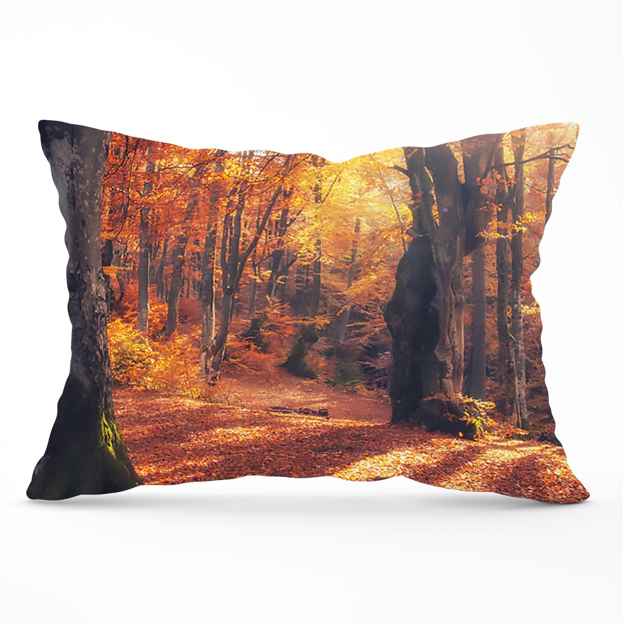 Autumn Forest Cushions