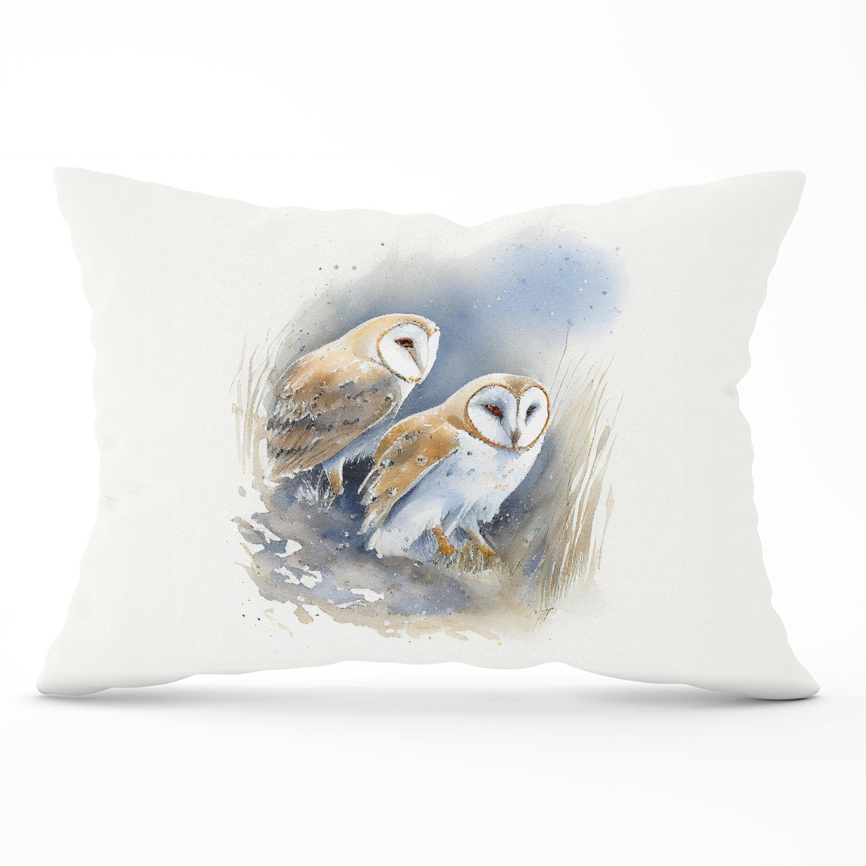 Barn Ano Owls Watercolour Cushions