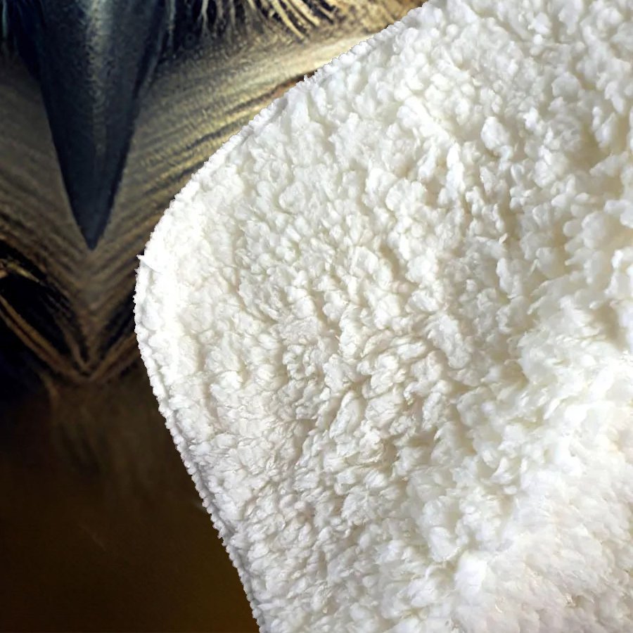 Owl With Glasses Splashart Sherpa Blanket