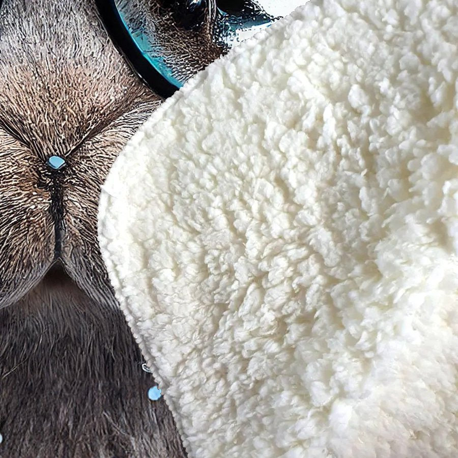 Rabbit With Glasses Splashart Sherpa Blanket