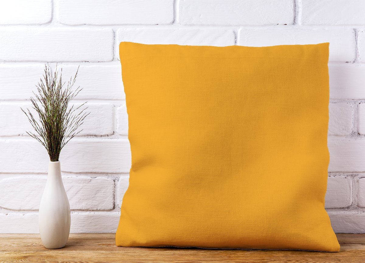 Cantaloupe Orange Cushions