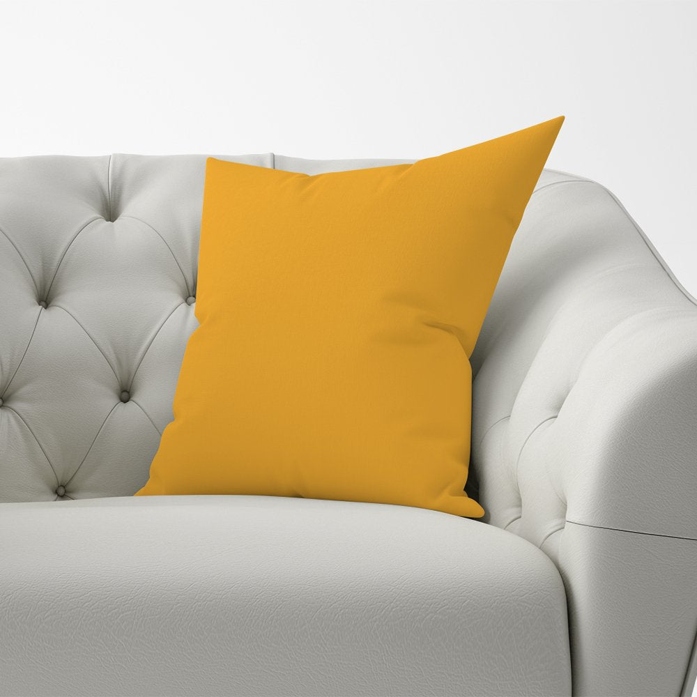 Cantaloupe Orange Cushions