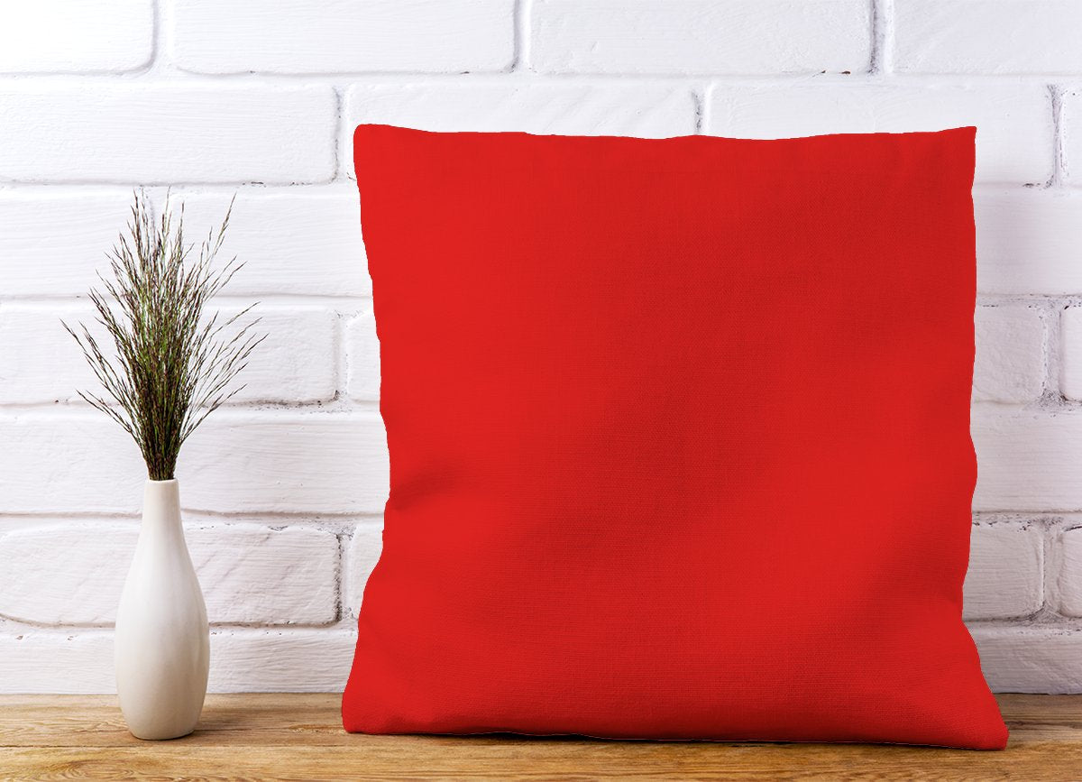 Fire Engine Red Cushions