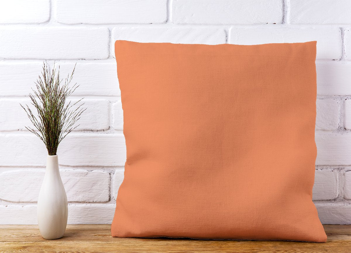 Faded Orange Cushions