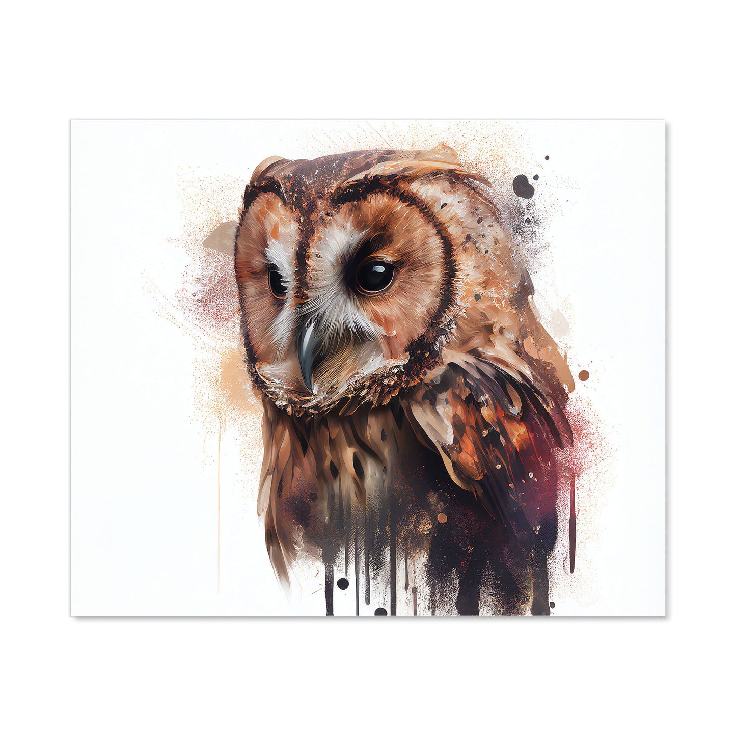 Tawny Owl Face Splashart Light Background Kitchen Splashback