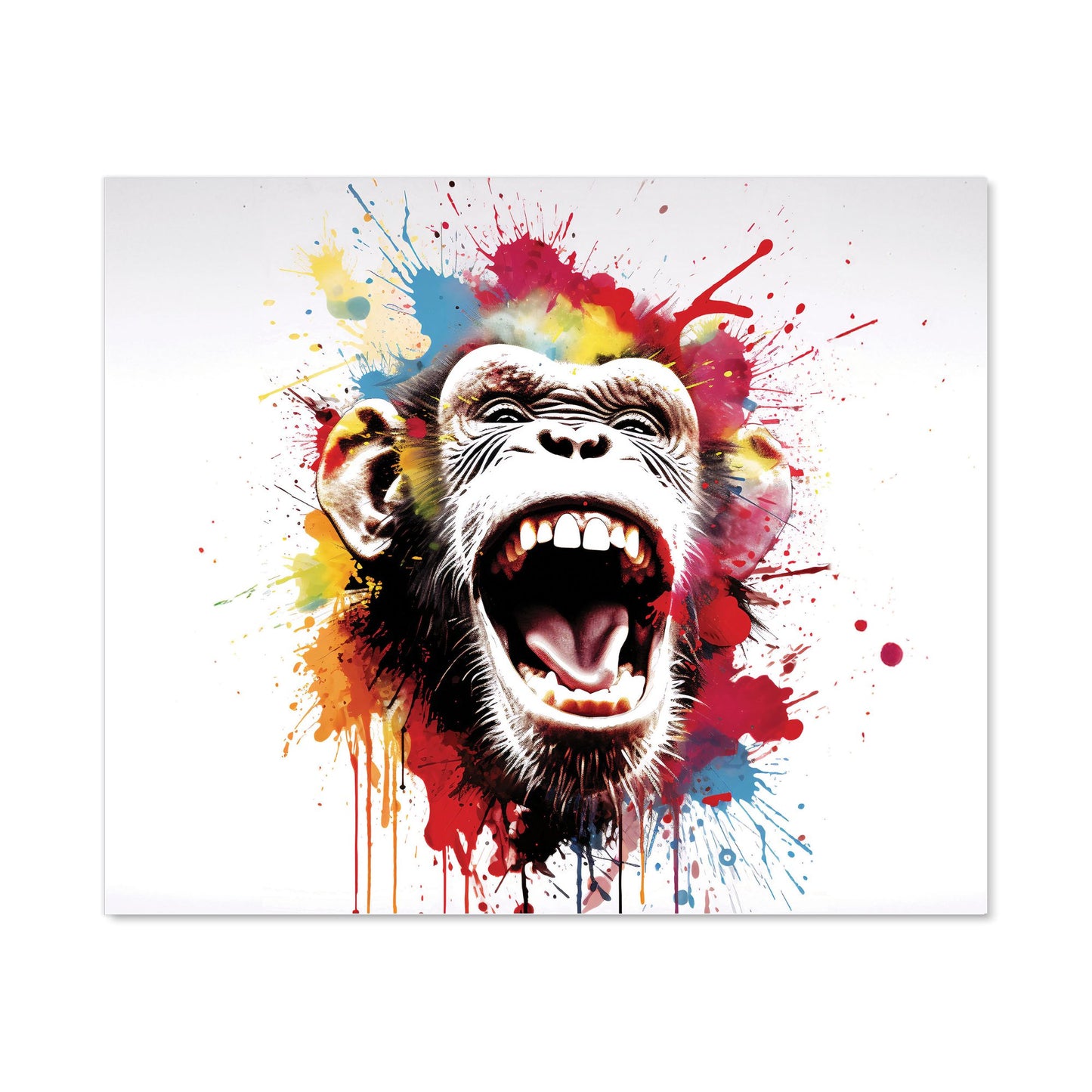 Coloured Splashart Crazy Monkey Face Kitchen Splashback