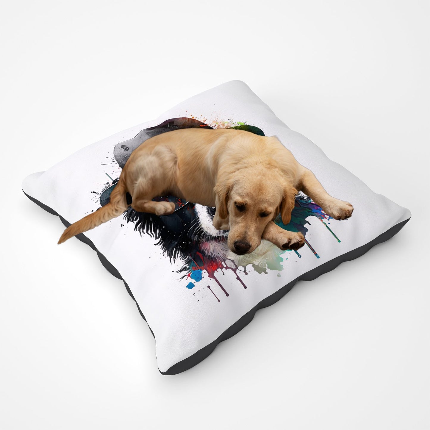 Border Collie Dog Splashart Pet Bed