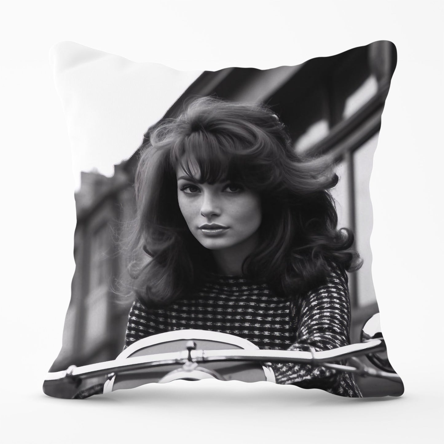 1960 Riding Out Cushions