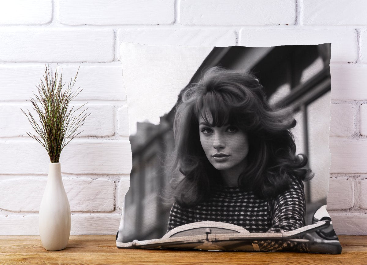 1960 Riding Out Cushions