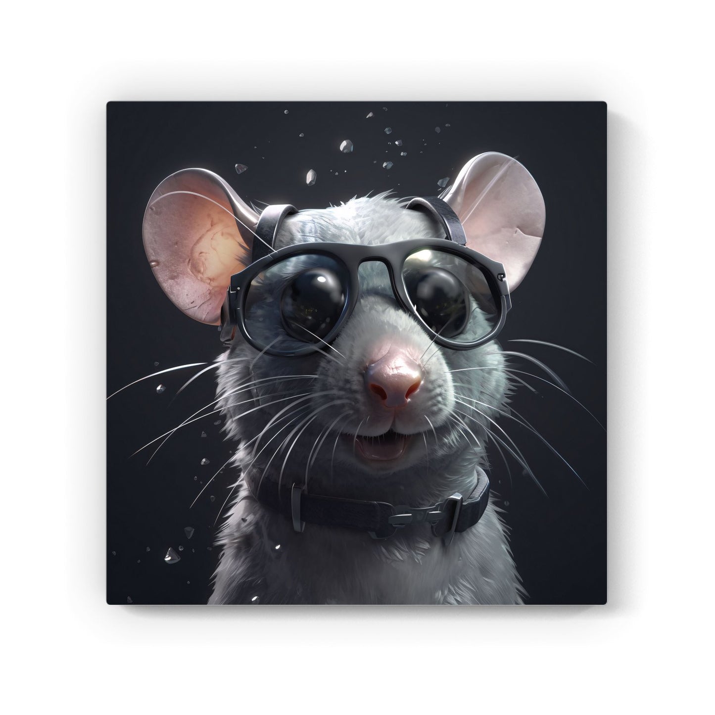 Splashart Rat In Glasses Canvas