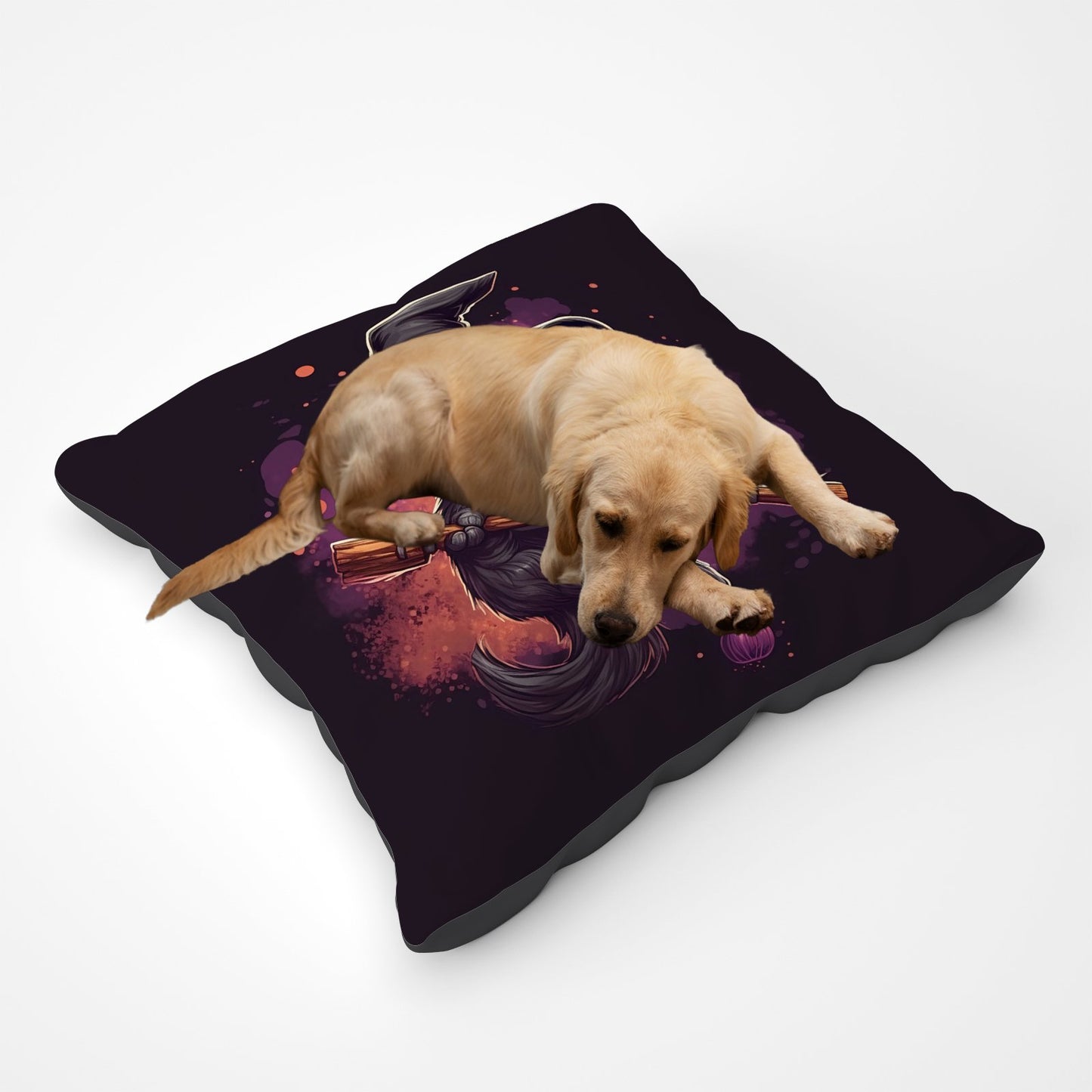 Cat And A Broom Pet Bed