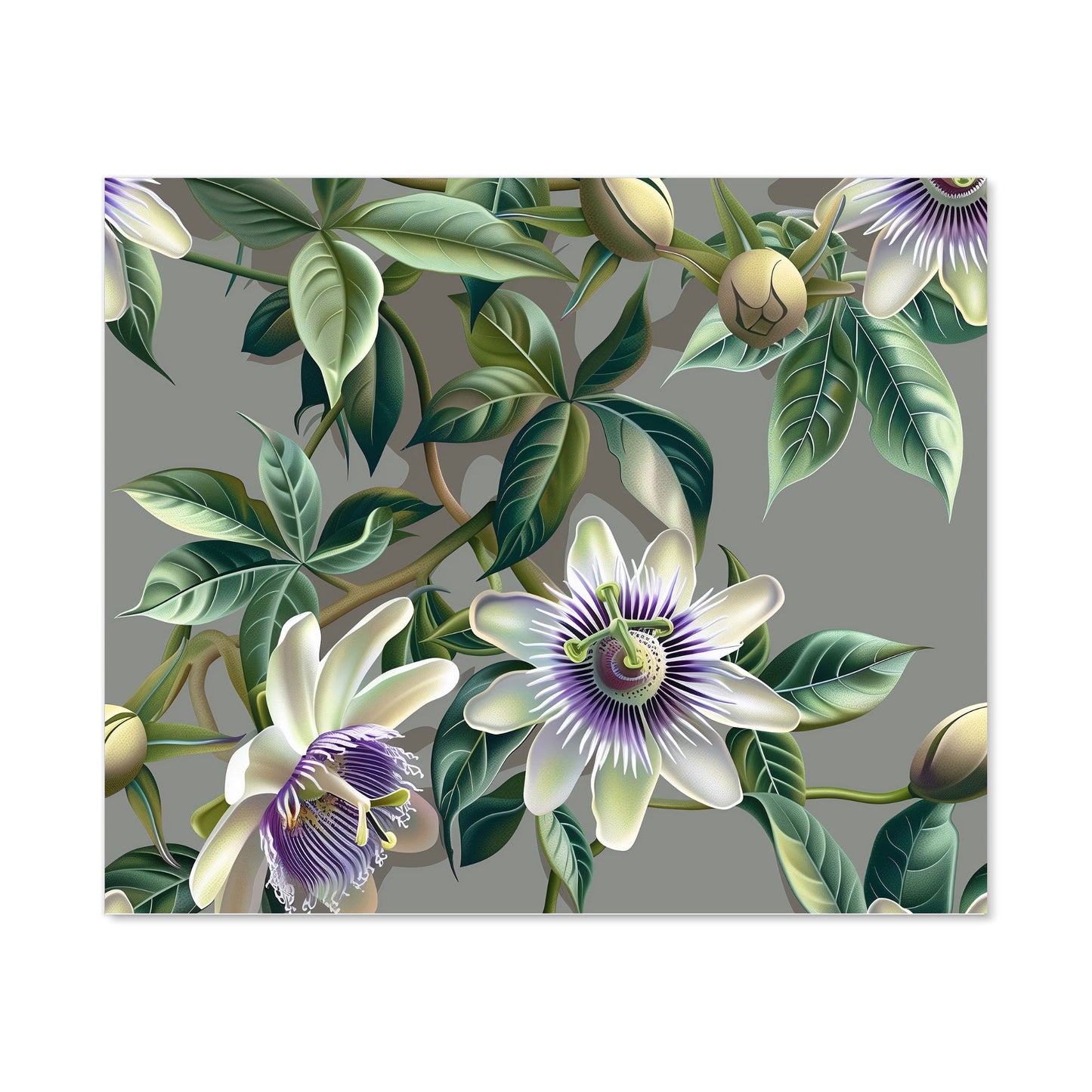 Passion Flowers Kitchen Splashback
