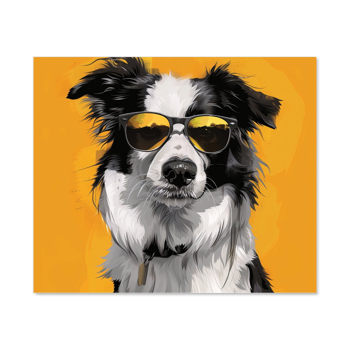 Cool Collie with Attitude Kitchen Splashback