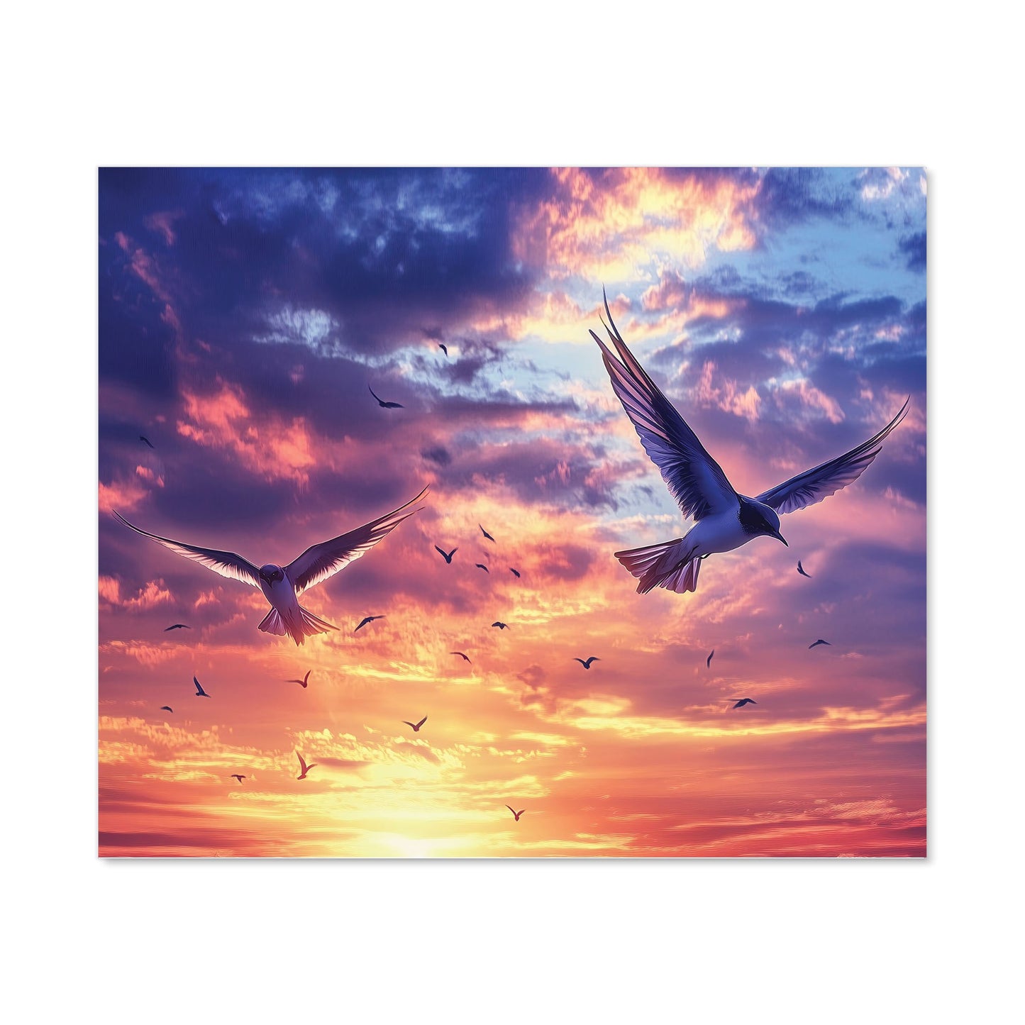 Dawn Flight: Swallows at Sunrise Kitchen Splashback