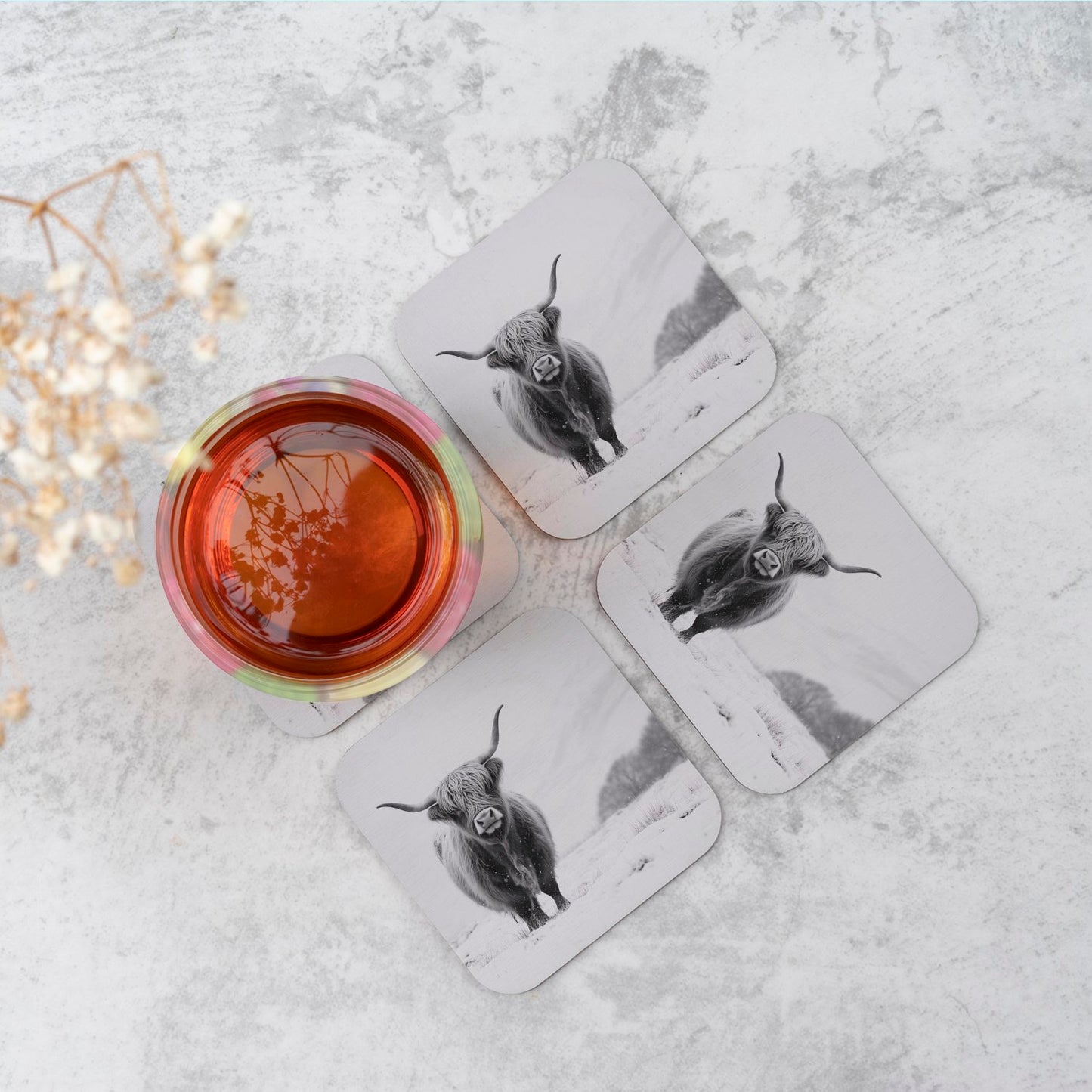 Lone Highland Cow Coasters