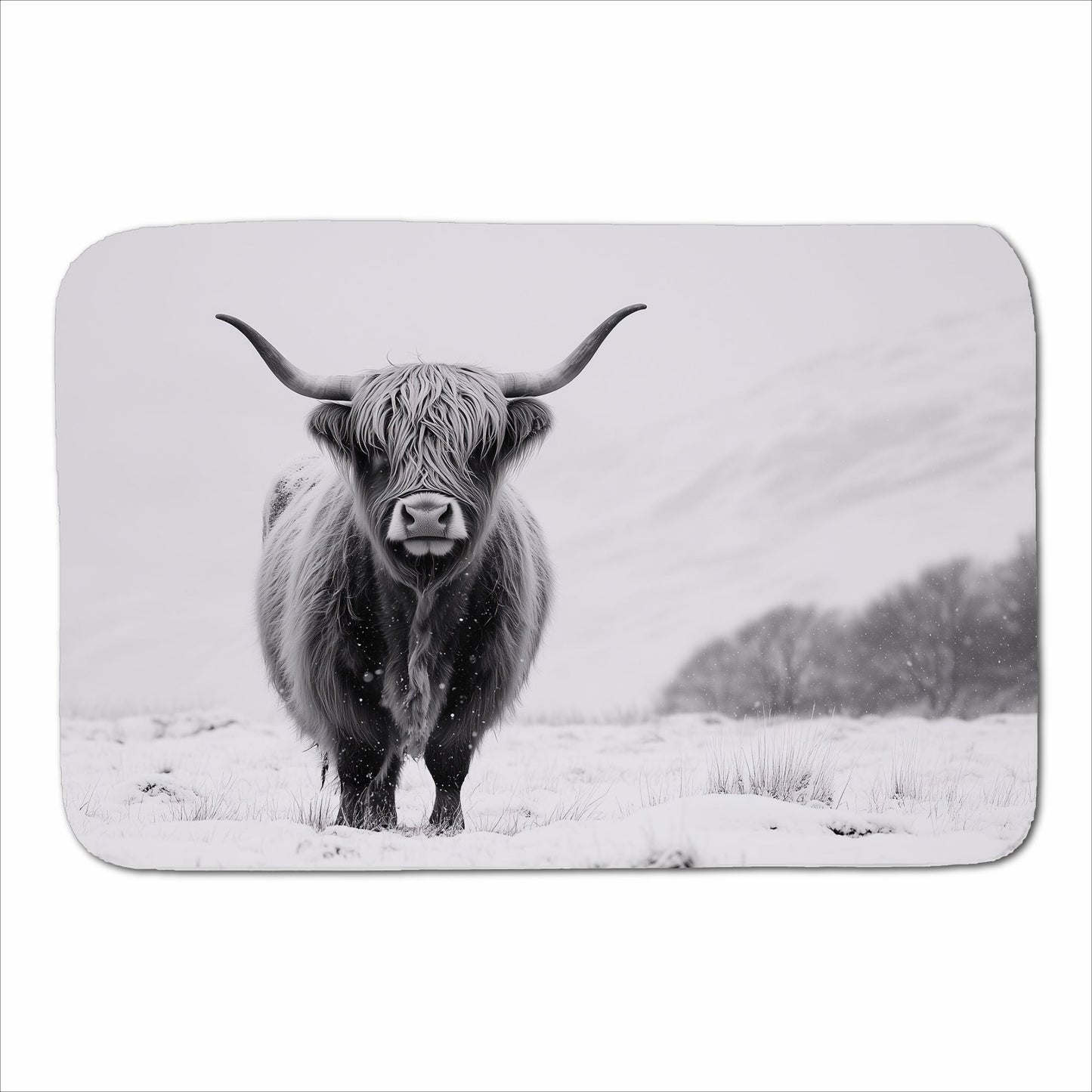Lone Highland Cow Sherpa Blanket