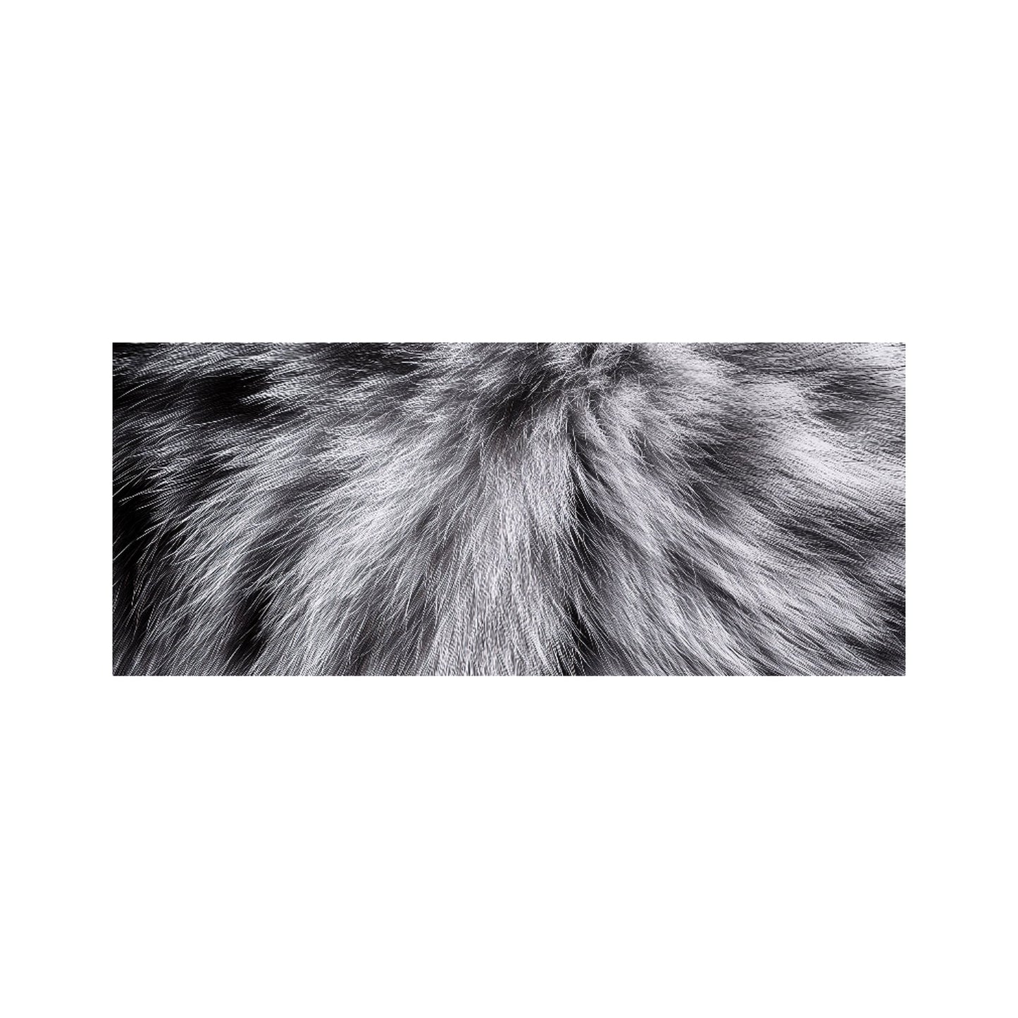 Silver Tabby Cat Print Glass Bathroom Splashback