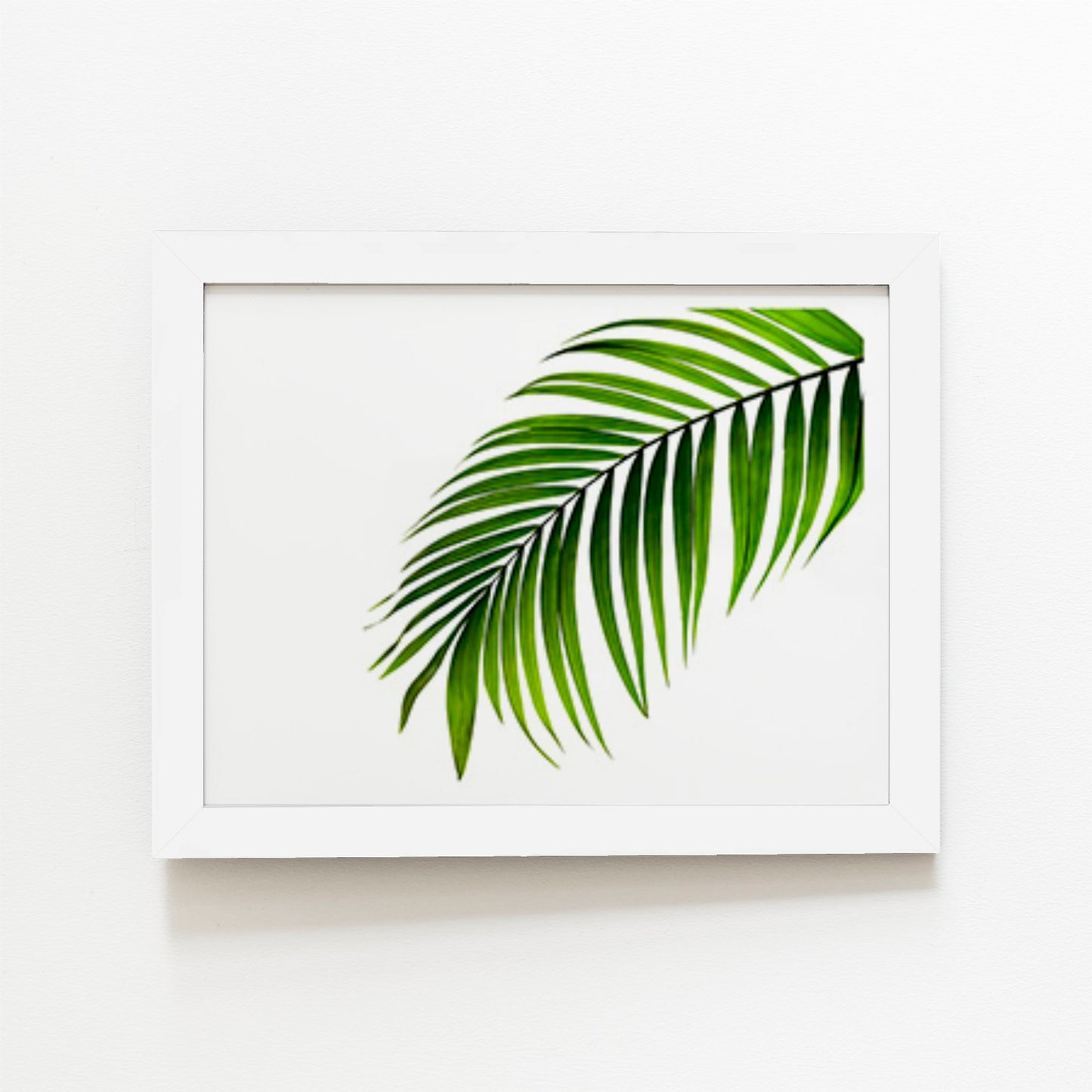 Single Palm Leaf Art Prints