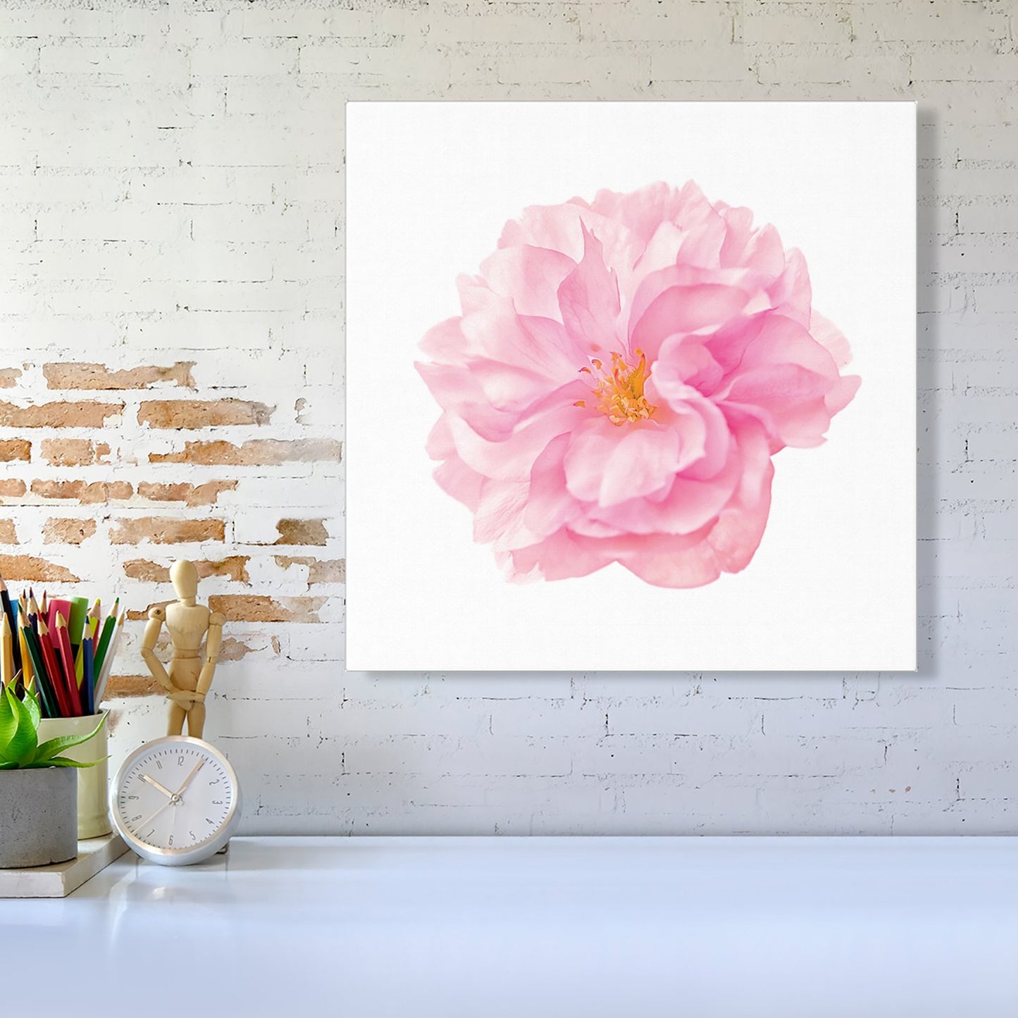 Single Cherry Blossom Canvas