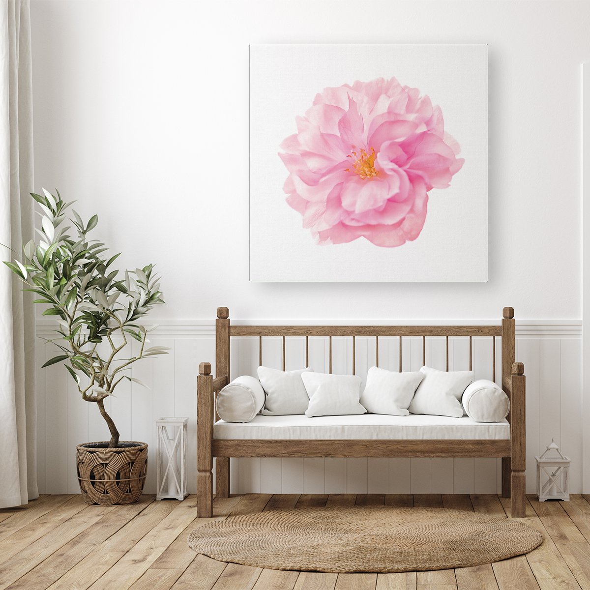 Single Cherry Blossom Canvas