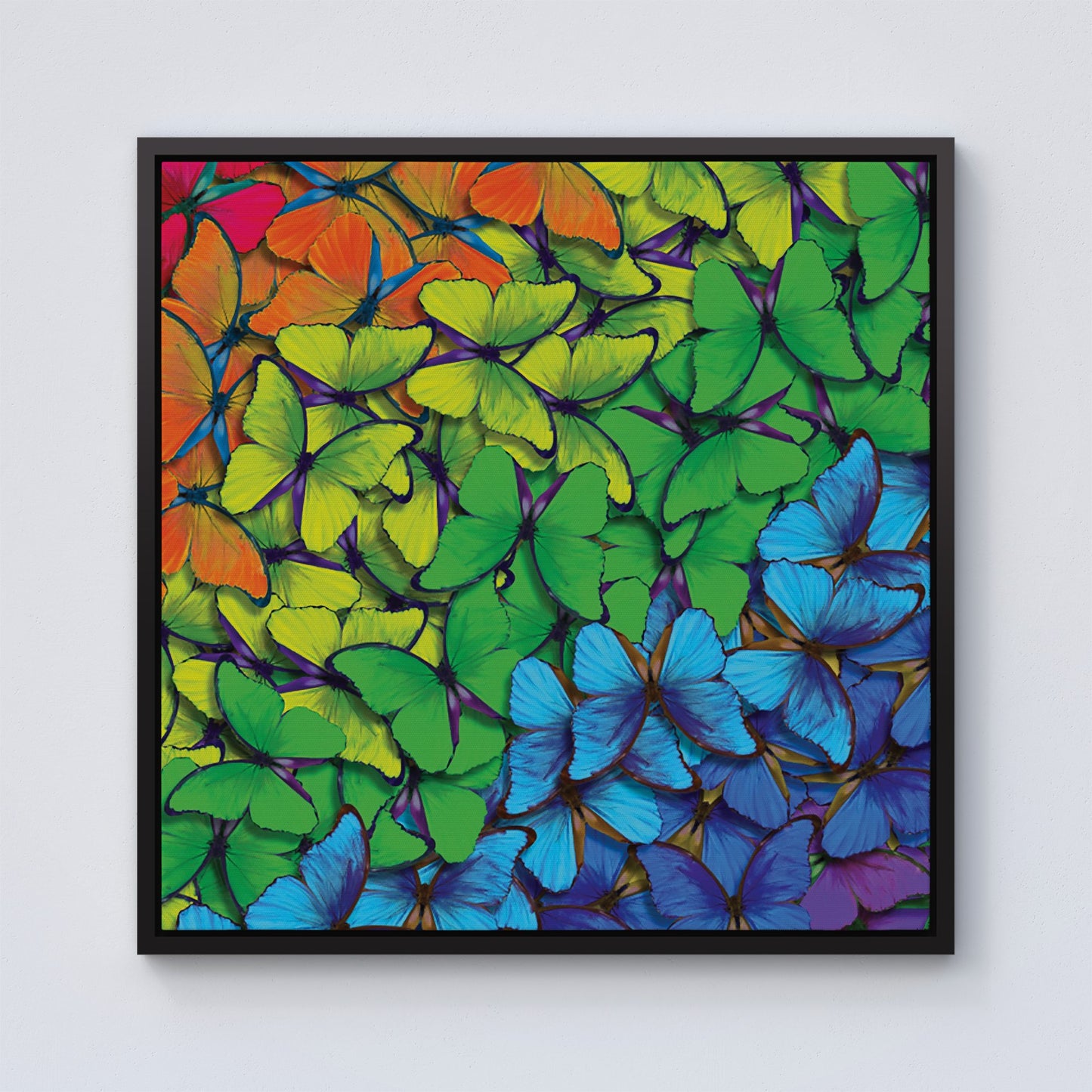 Multicoloured Butterflies Framed Canvas