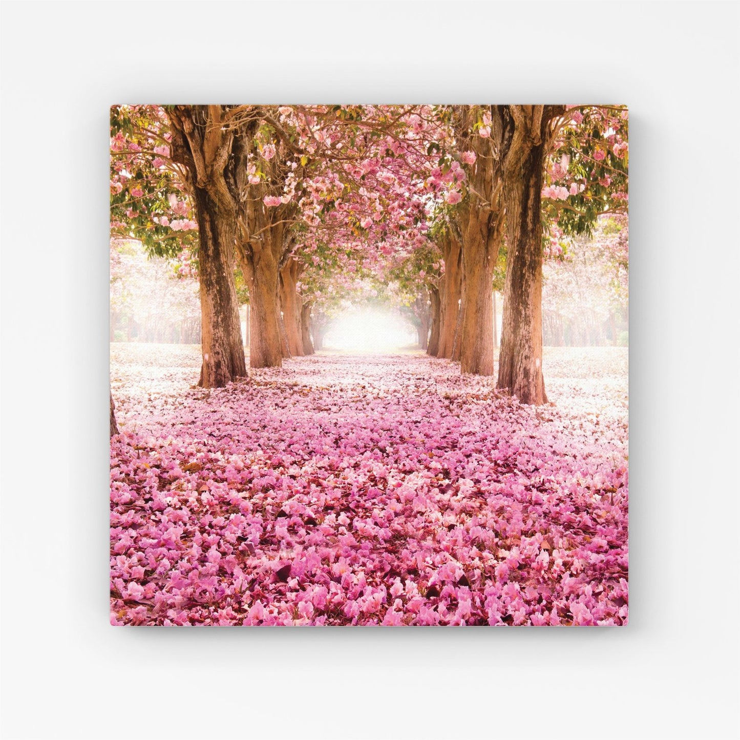 Pink Flower Tree Tunnel Canvas