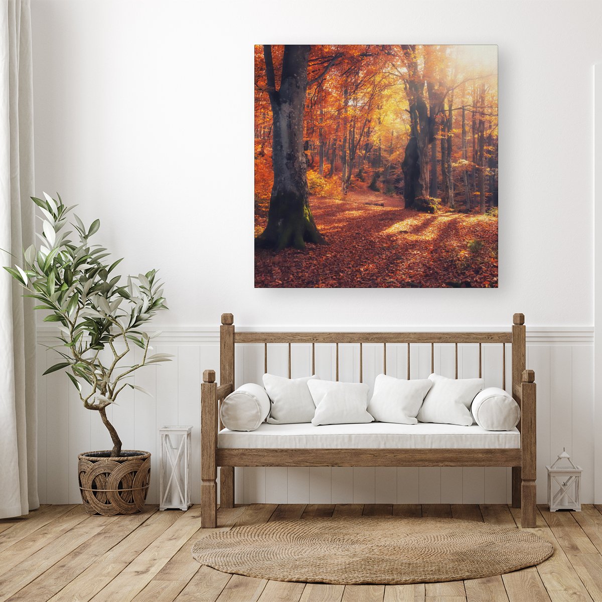 Autumn Forest Canvas