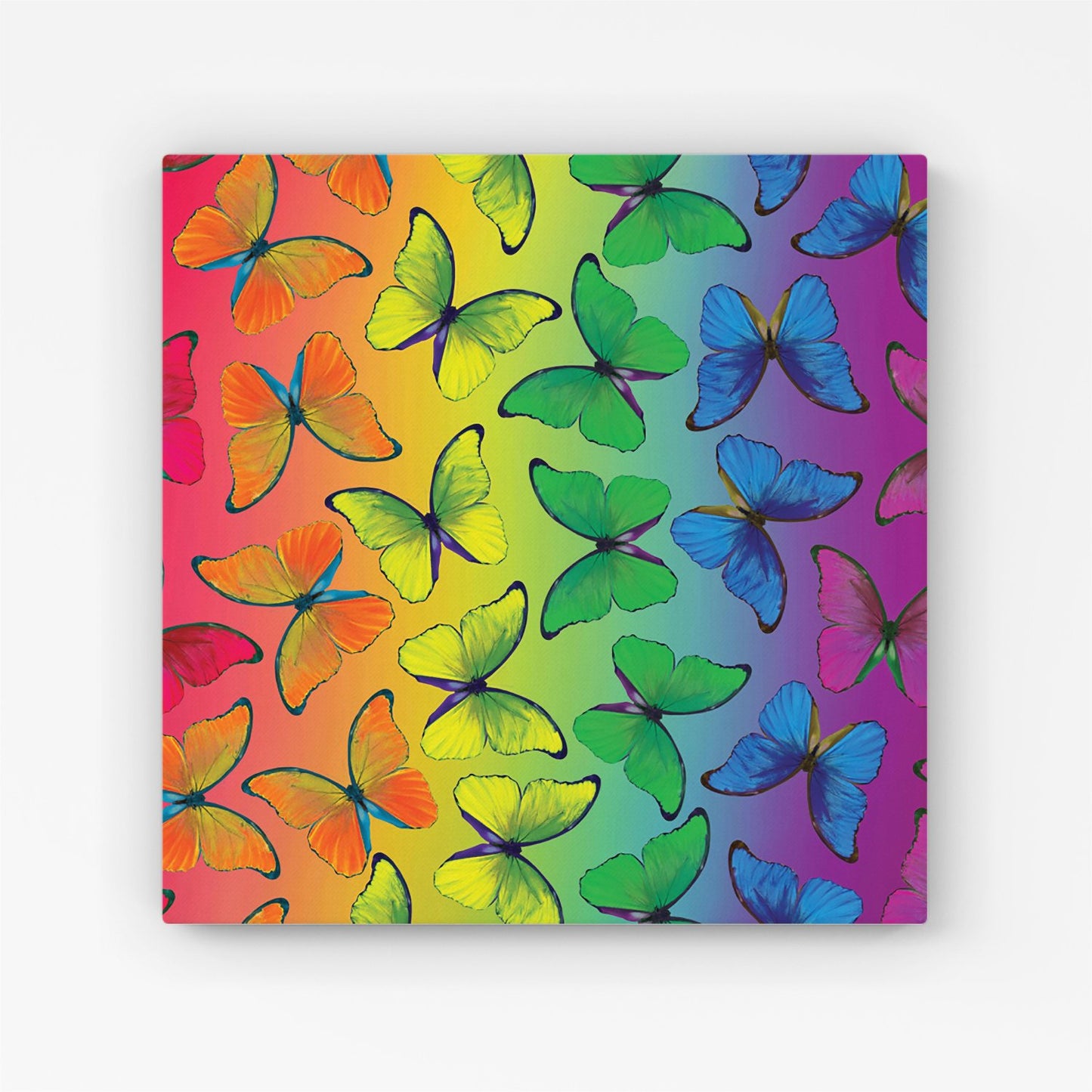 Multicoloured Butterfly Pattern Canvas