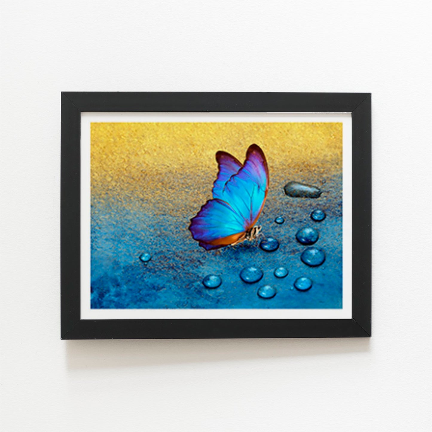 Butterfly On Dew Drops Art Prints