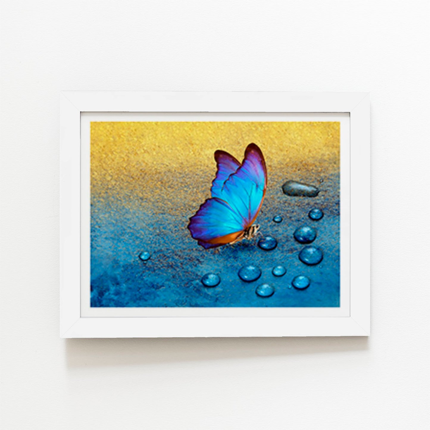 Butterfly On Dew Drops Art Prints