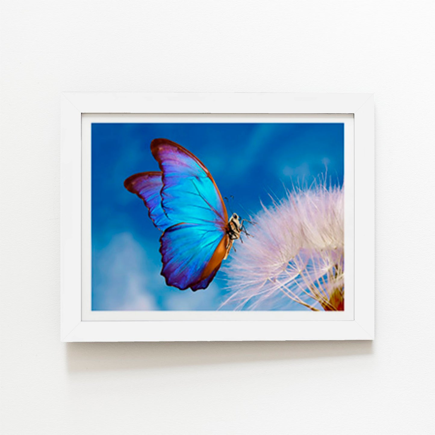 Butterfly And Dandelion Art Prints