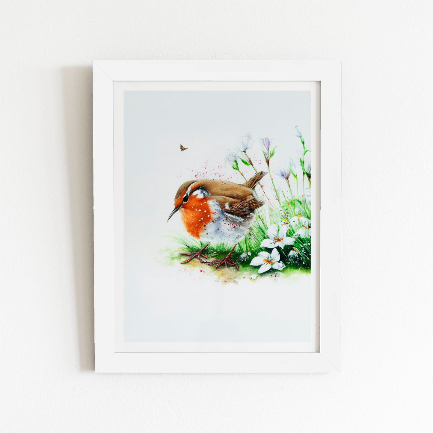 Robin And Daisies Watercolour Art Prints