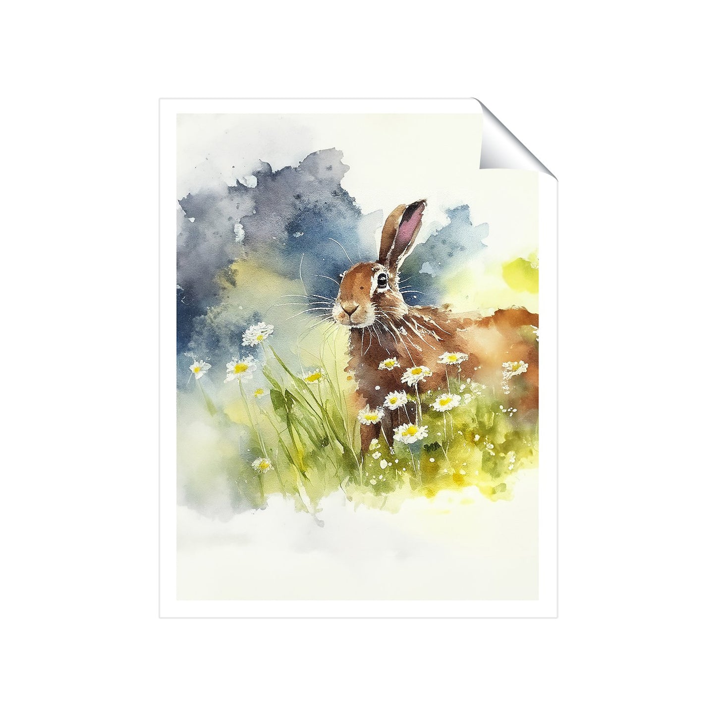 Hare And Daisies Watercolour Art Prints
