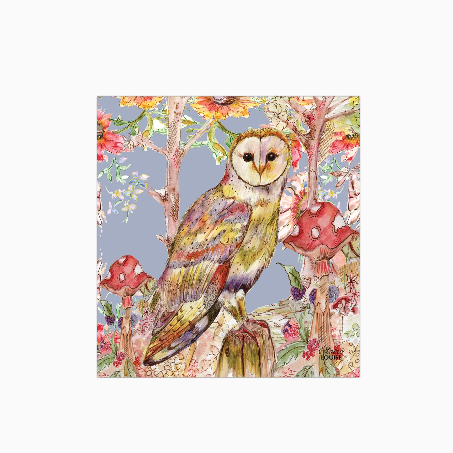Whimsical Owl Glass Kitchen Splashback