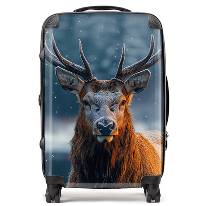 Finn Wilder: 00013 Suitcase