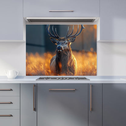 Finn Wilder: 00014 Kitchen Splashback