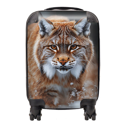 Finn Wilder: 00020 Suitcase
