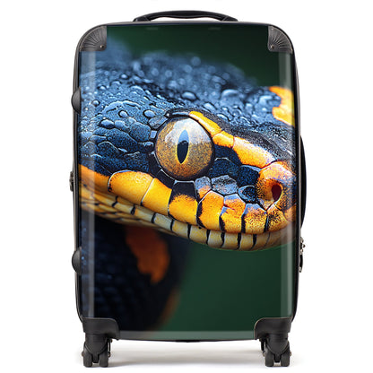 Finn Wilder: 00025 Suitcase