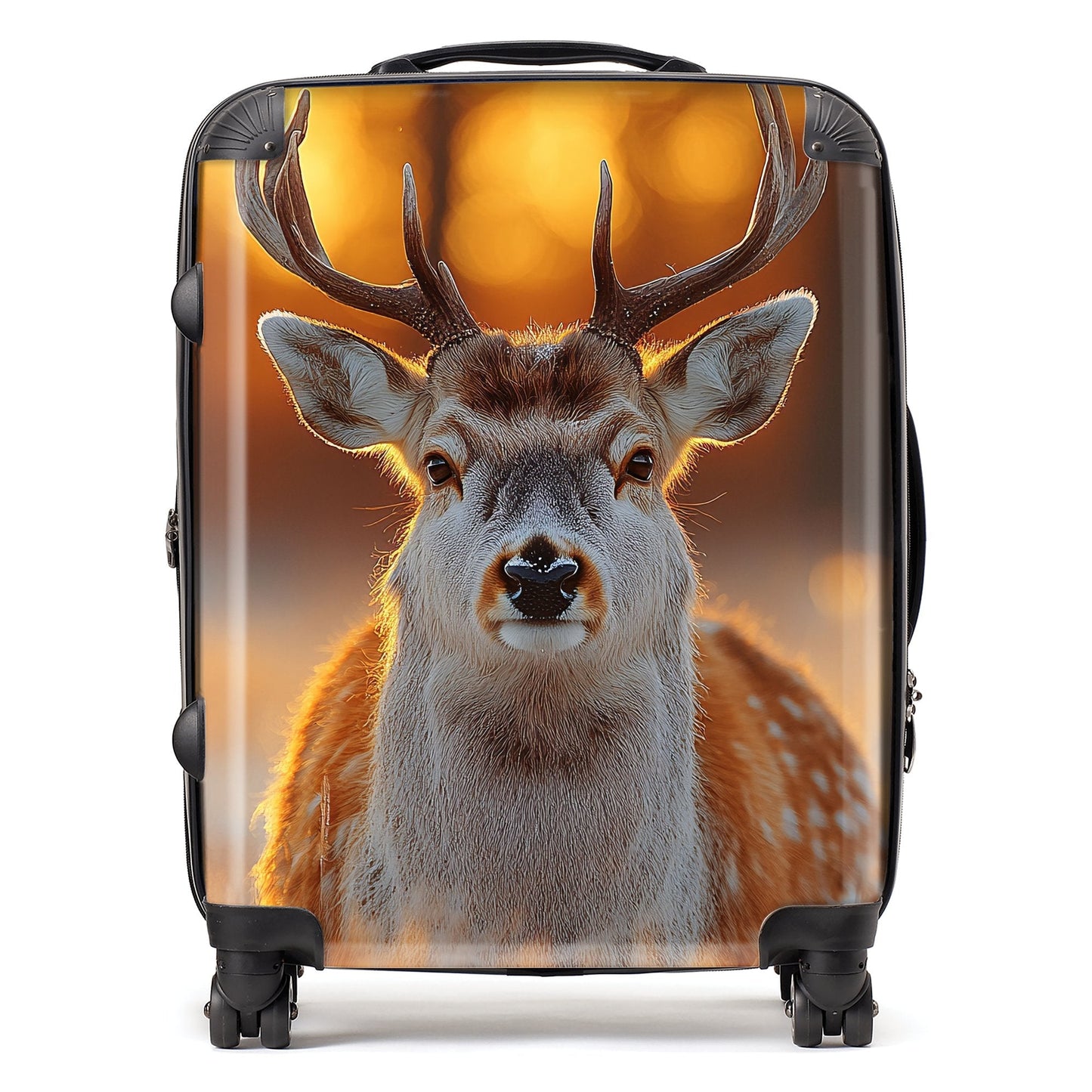 Finn Wilder: 00029 Suitcase