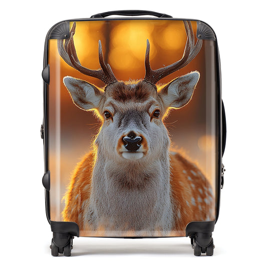 Finn Wilder: 00029 Suitcase